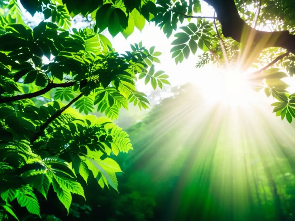 Un bosque exuberante con luz solar filtrándose a través de las hojas, evocando vitalidad