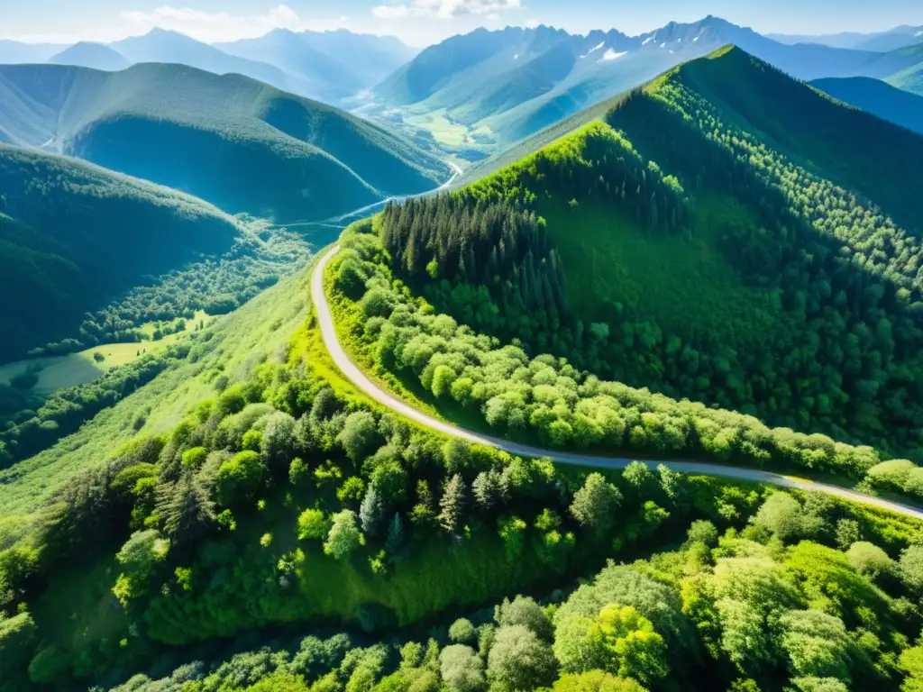 Senderismo con aire puro: Sendero de montaña serpenteando entre exuberantes bosques verdes, bañado por la luz del sol y sombras